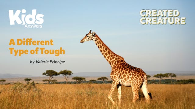 A Different Type of Tough (Kids Answe...