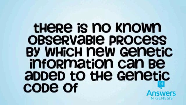 Evolucion Refutada (Espanol)
