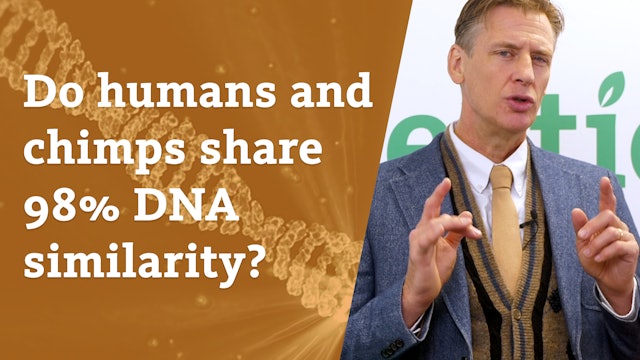 Do humans and chimps share 98% DNA similarity?
