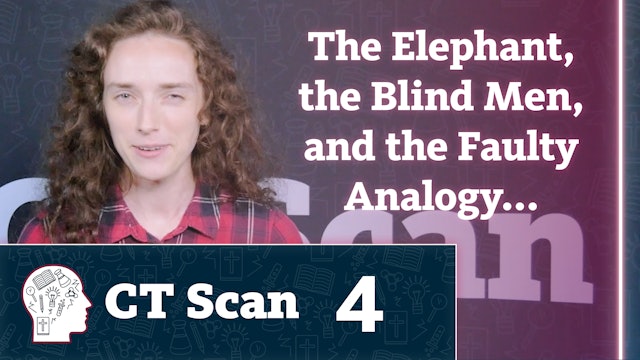 The Elephant, the Blind Men, and the Faulty Analogy