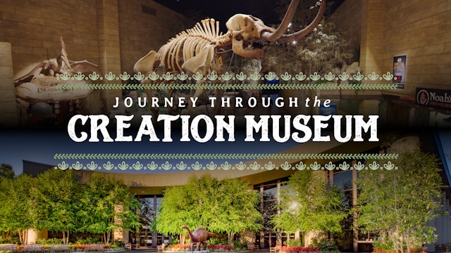Journey Through the Creation Museum 2021