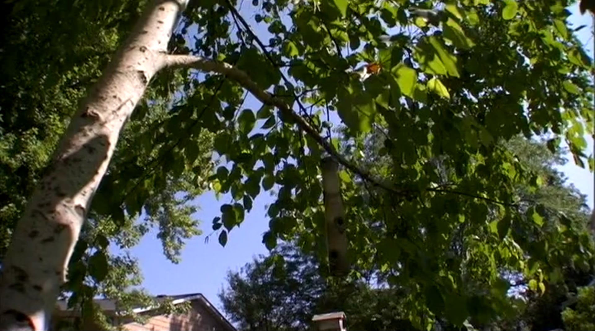 Part 1 - Life: What is Life?