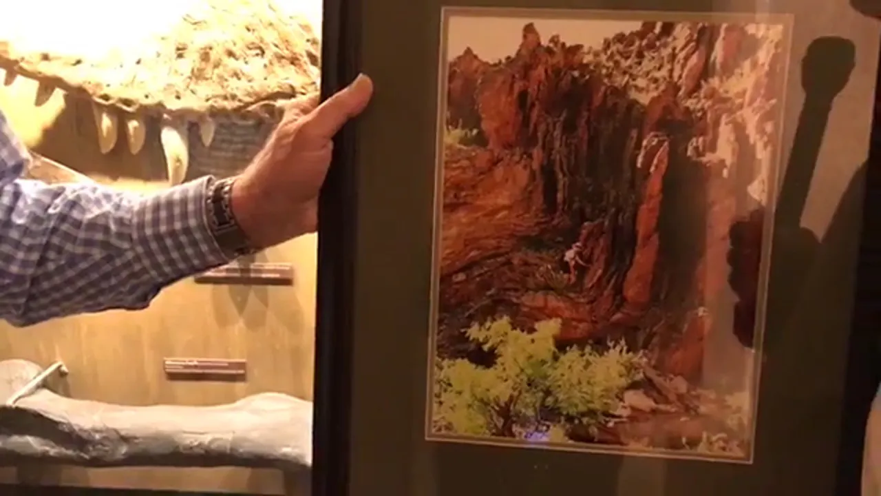 Andrew Snelling's Grand Canyon Research - Kids' Creation Science Videos ...