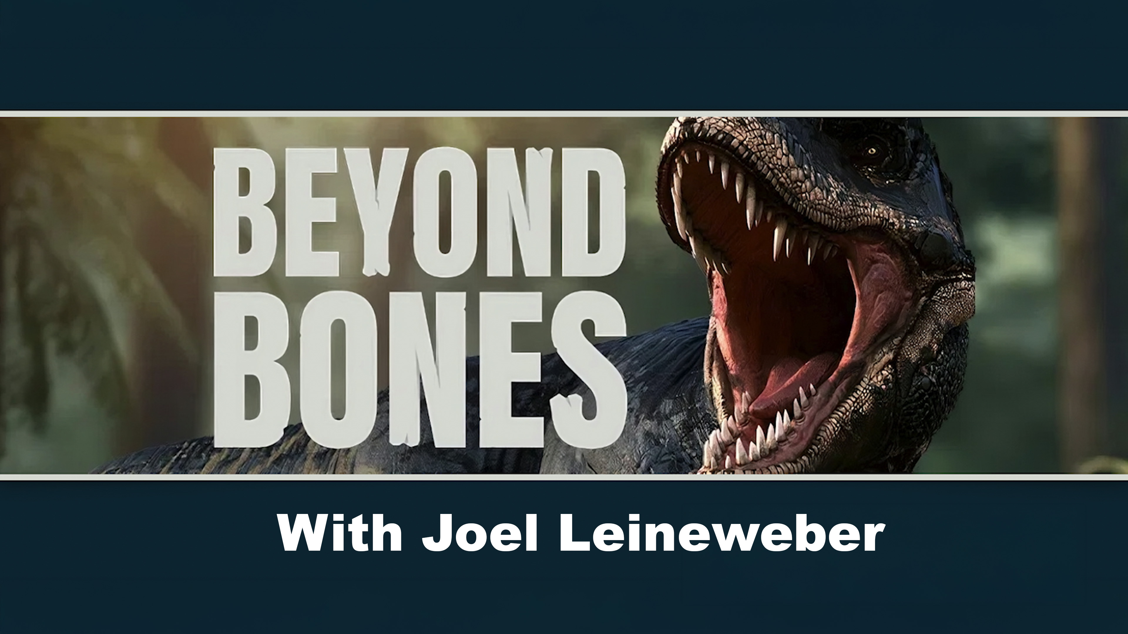 Joel Leineweber: Easy to See Differences Between Dinosaurs and Birds