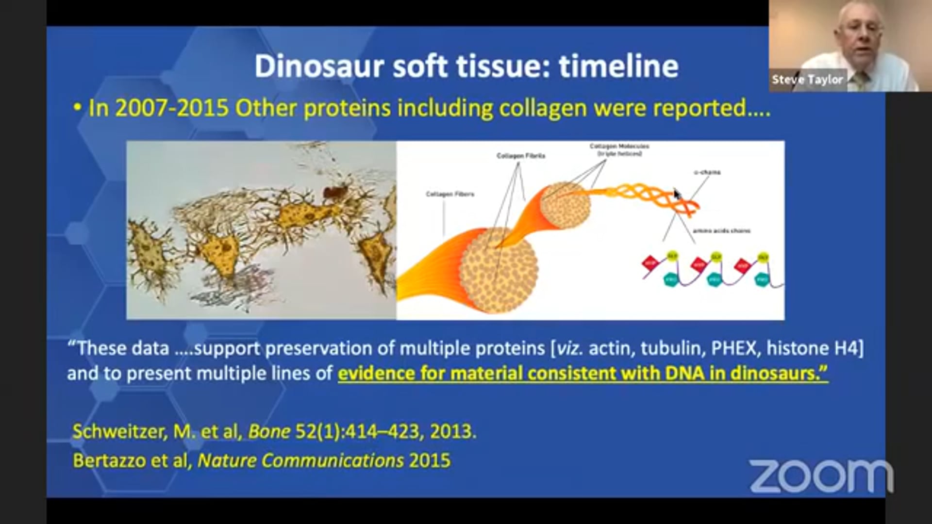 Dinosaurs, Dragons & DNA - part 2 (with Prof. Steve Taylor)