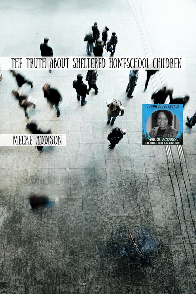 The Truth about Sheltered Homeschool Children