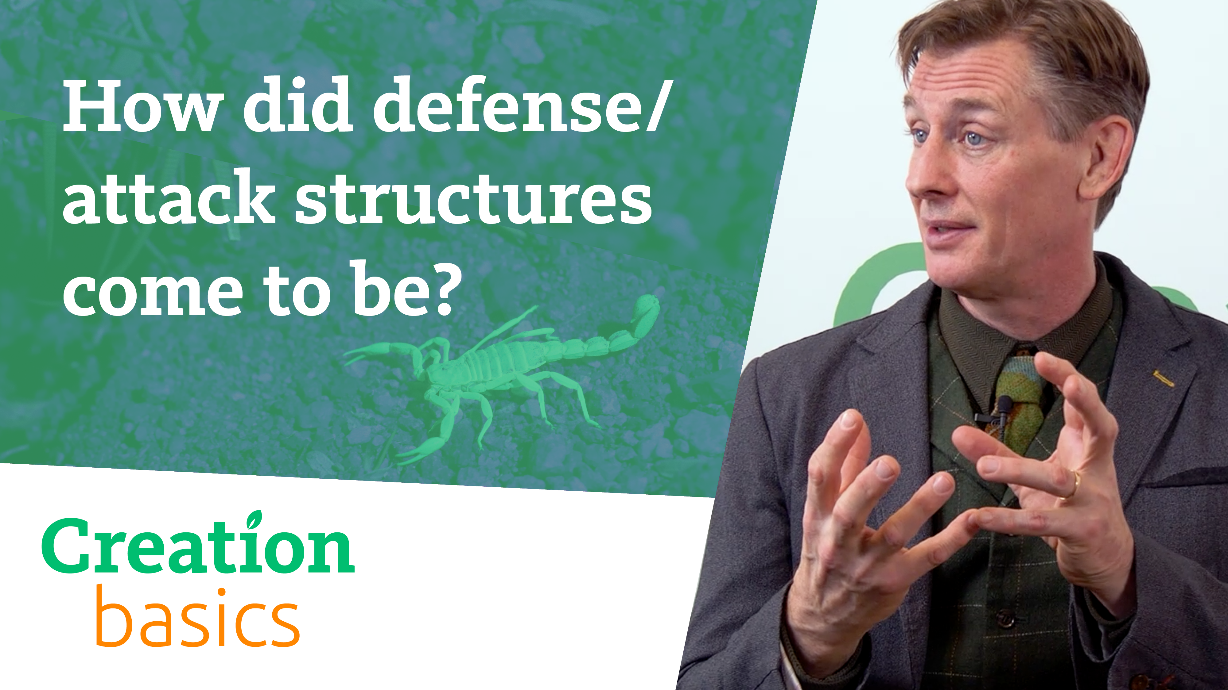 S2E14 How did defense/attack structures come to be?