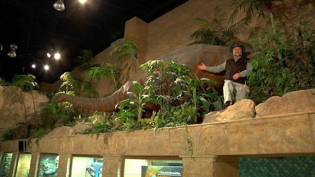 Extra—Buddy Davis’ Dinosaurs at the Creation Museum