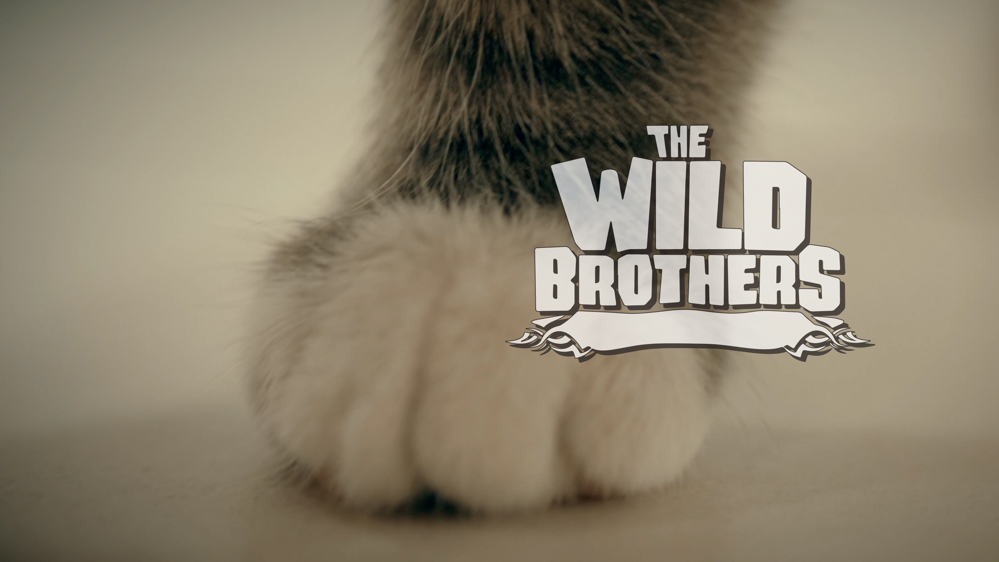 S3E20 New Addition to the Family