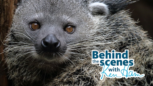 S2E11 Meet the Binturong and Porcupines with Ken Ham & Leanne