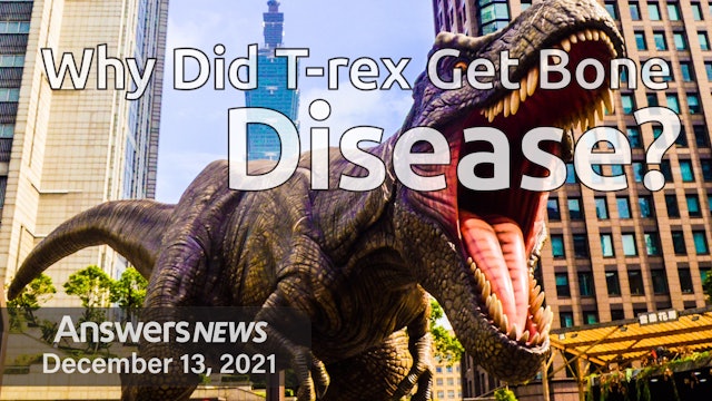 12/13 Why Did T-rex Get Bone Disease?