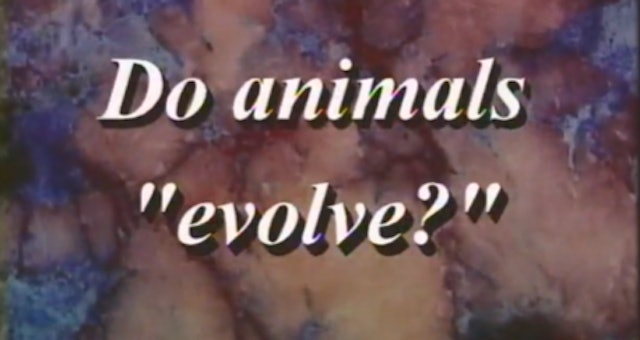 Do Animals “Evolve”? Part 2