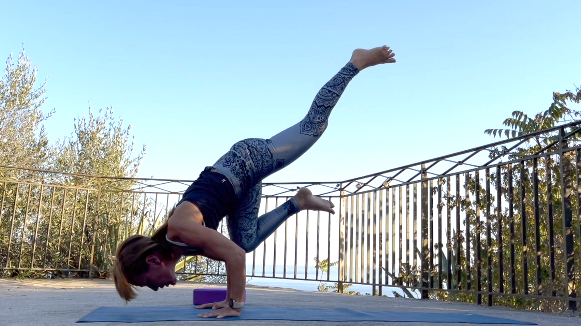 Vinyasa Yoga (pic pose Eka Pada Bakasana)