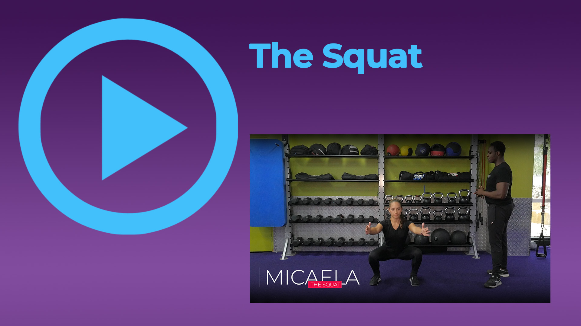THE SQUAT
