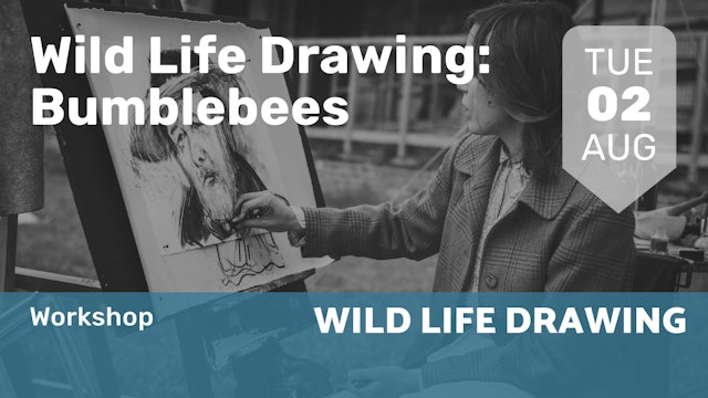 "2022.08.02 | Wild Life Drawing: Bumblebees "