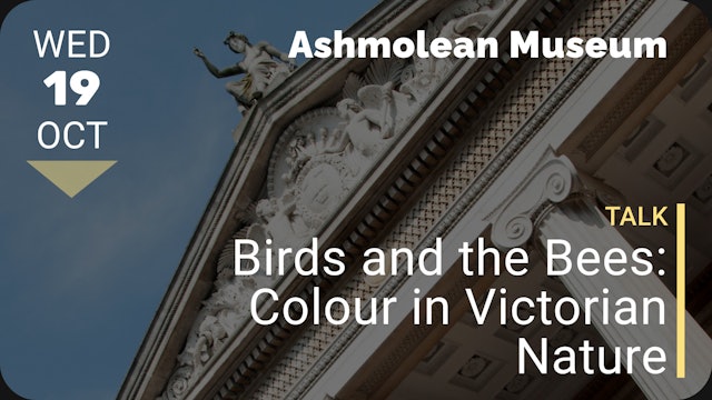 2022.10.19 | Birds and the Bees: Colour in Victorian Nature