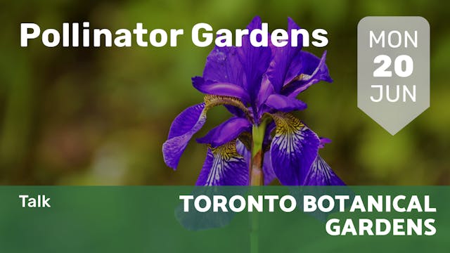 2022.06.20 | Pollinator Gardens