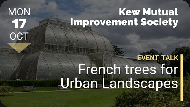 2022.10.17 | French trees for Urban L...
