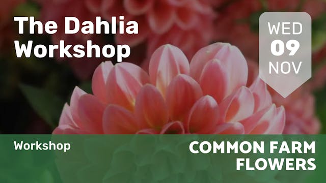 2022.11.09 | The Dahlia Workshop 