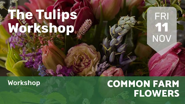 2022.11.11 | The Tulips Workshop 