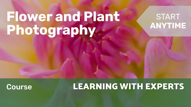 Course | Flower and Plant Photography