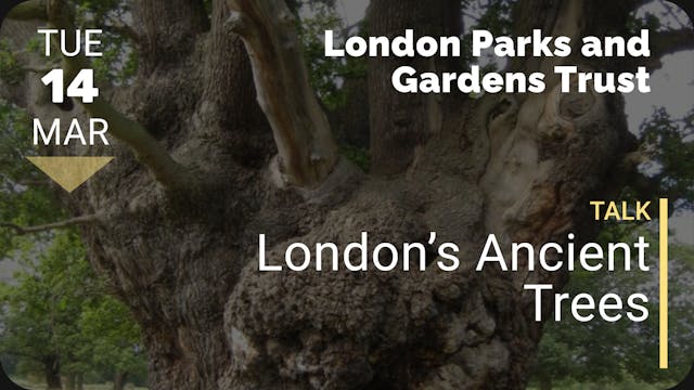 2023.03.14 | London’s Ancient Trees