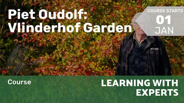Course | Piet Oudolf: Vlinderhof Garden