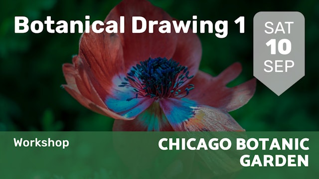 2022.09.10 | Botanical Drawing 1