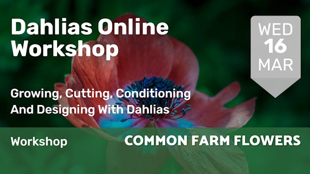 2022.02.27 | Dahlias Online Workshop