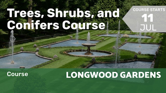 2022.07.11 | Trees, Shrubs, and Conifers Course