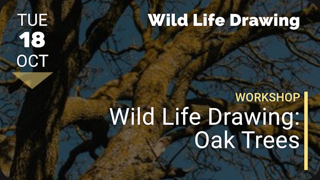 2022.10.18 | Wild Life Drawing: Oak Trees