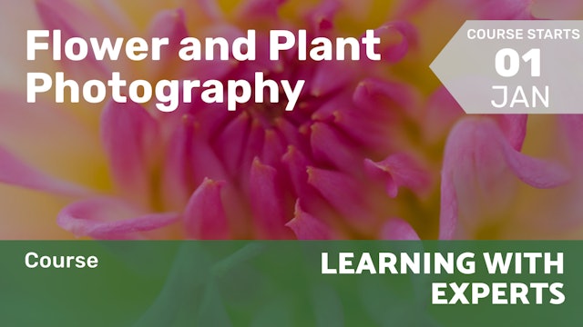 Course | Flower and Plant Photography