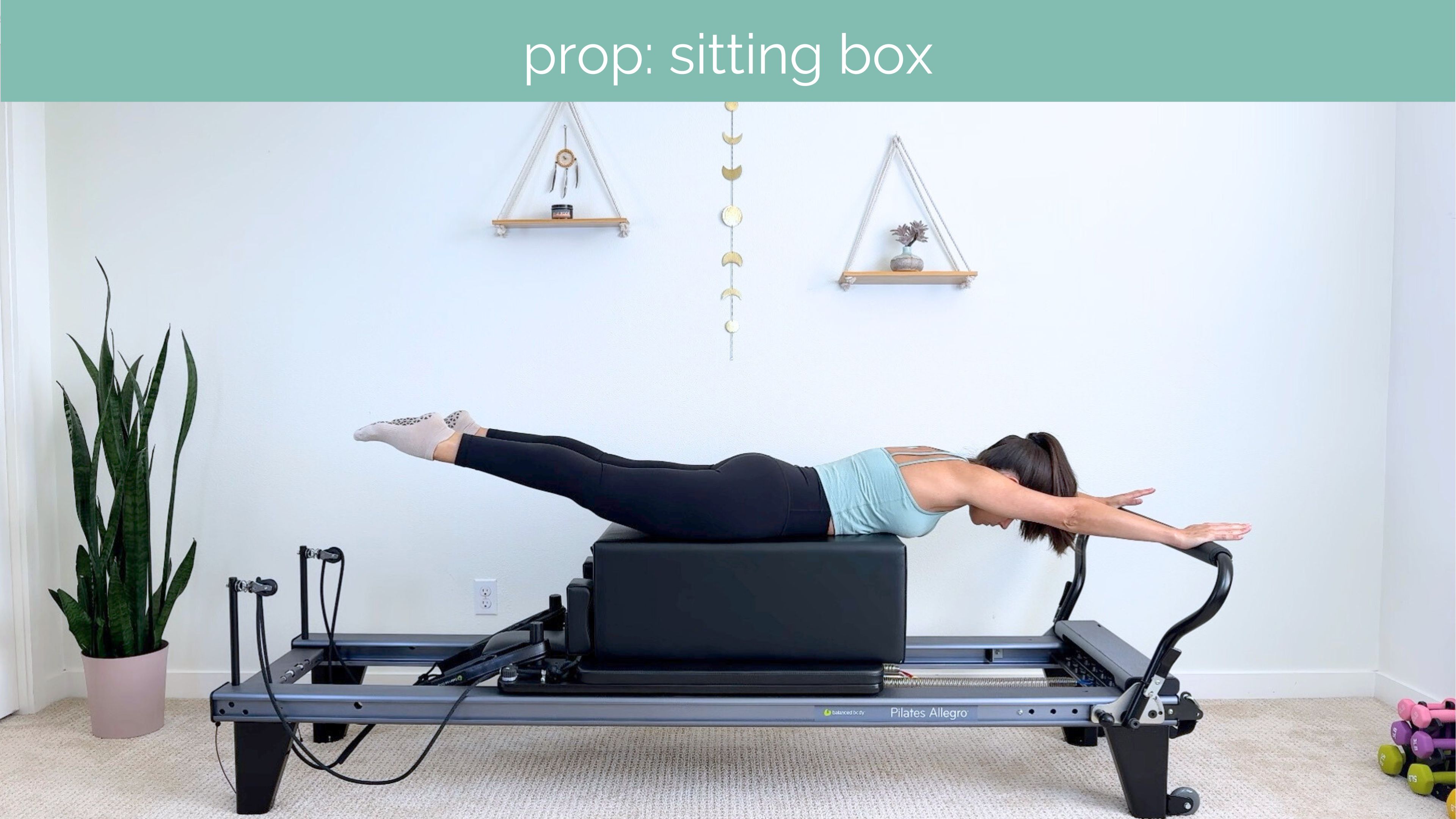 Beginner Reformer #05