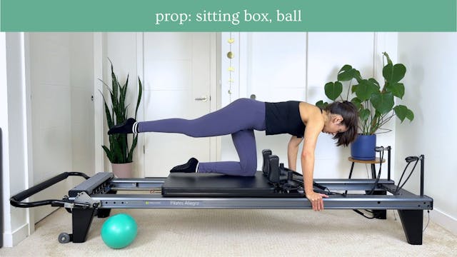 Intermediate Reformer #18