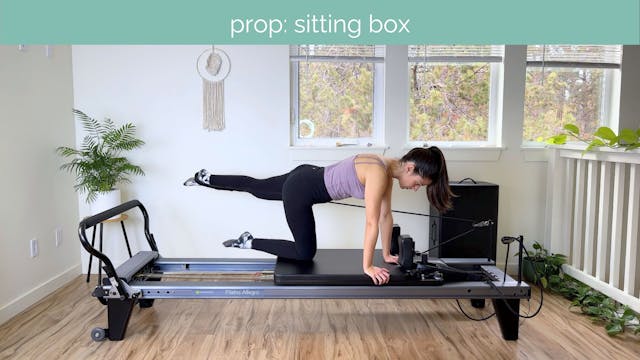 All Levels Reformer #62