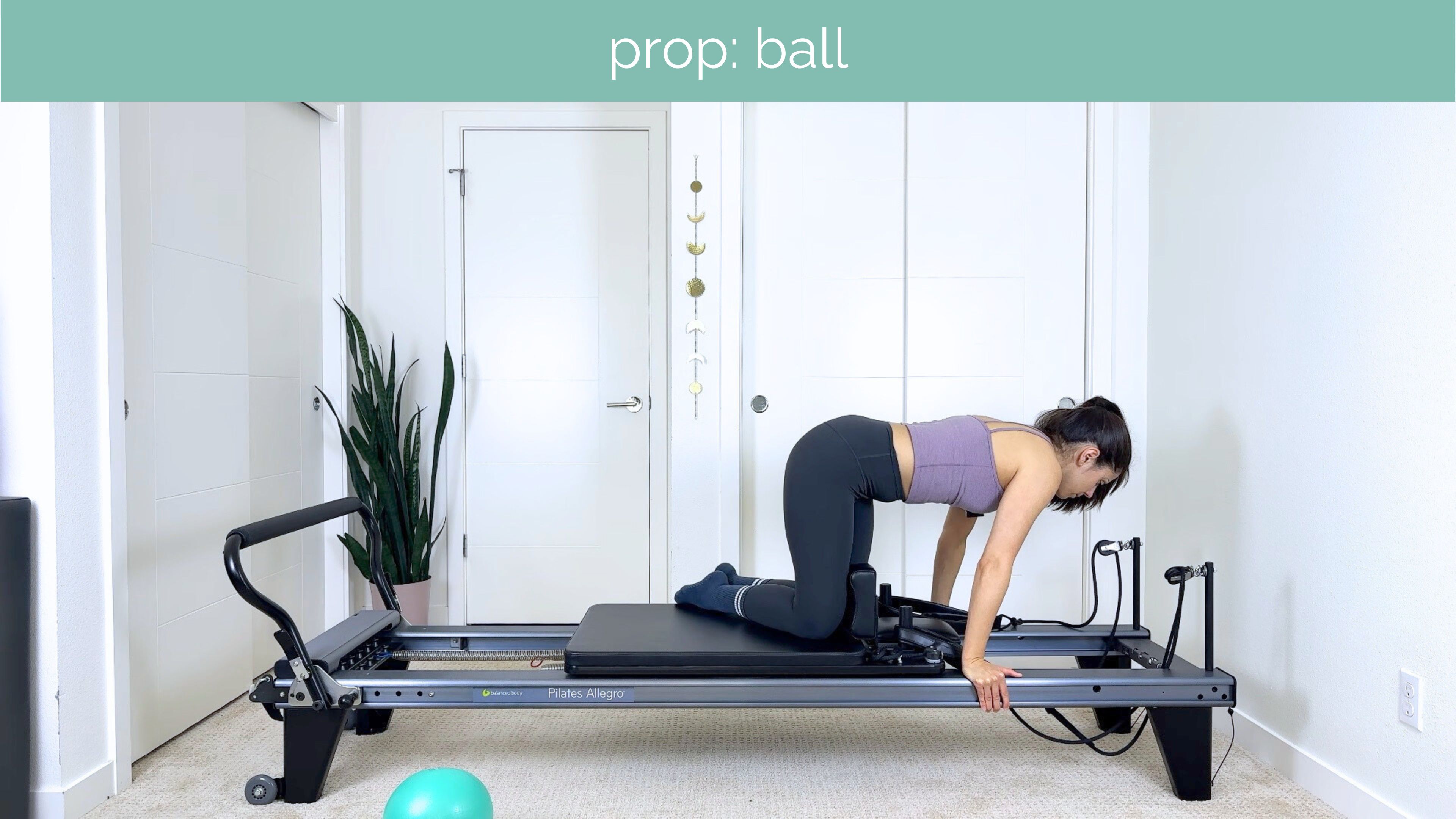 All Levels Reformer #44