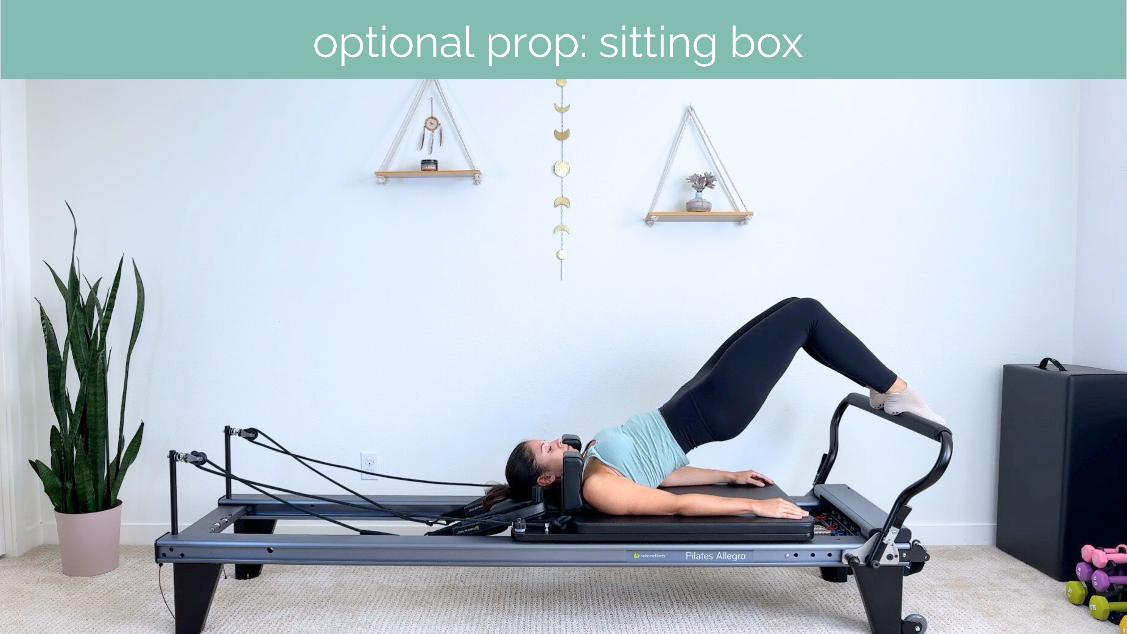 Beginner Reformer #01