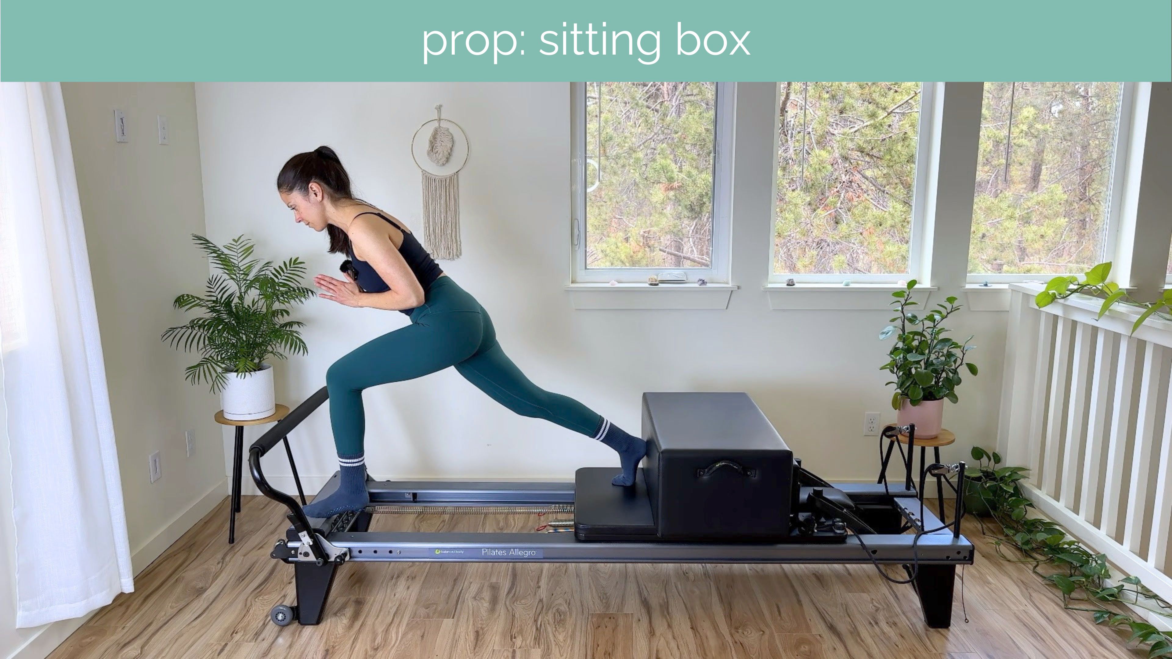 Intermediate Reformer #69