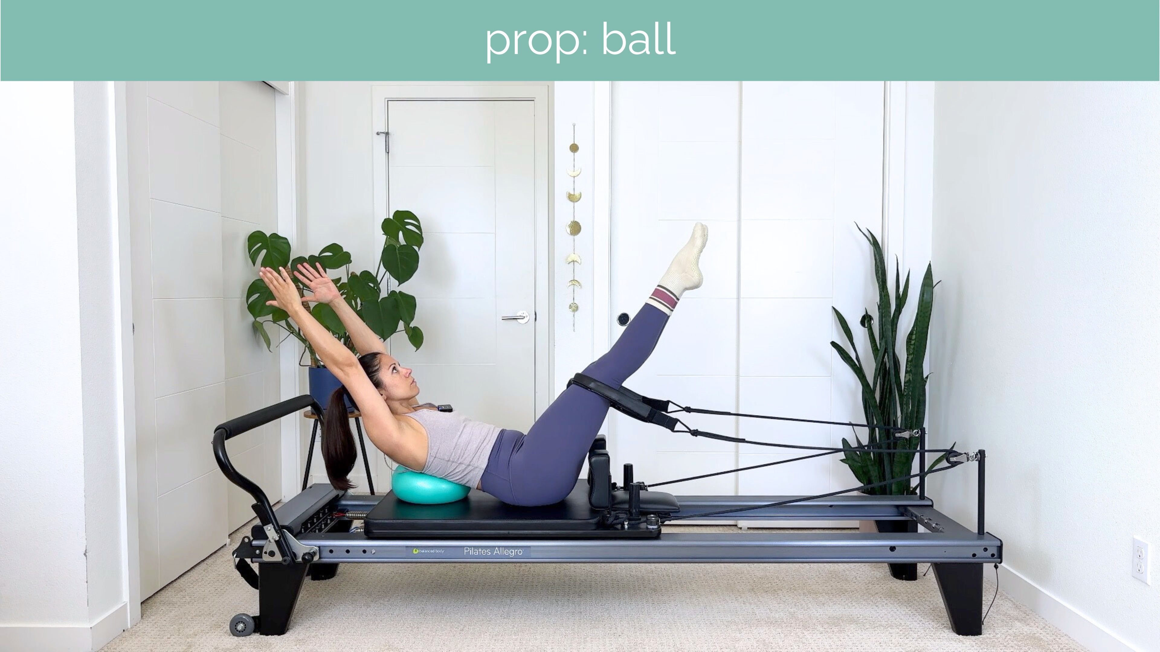 Advanced Reformer #50