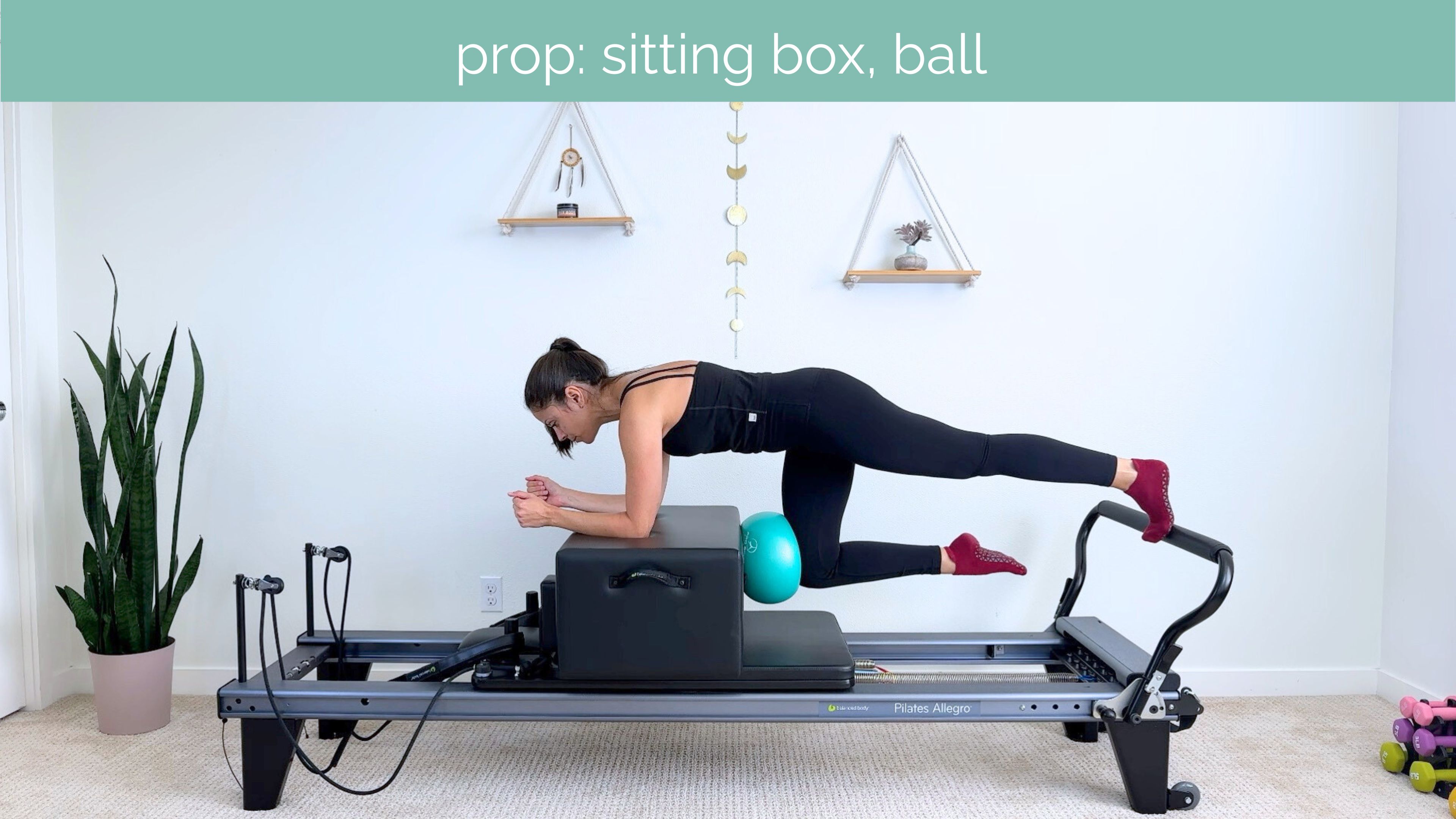 Intermediate Reformer #13