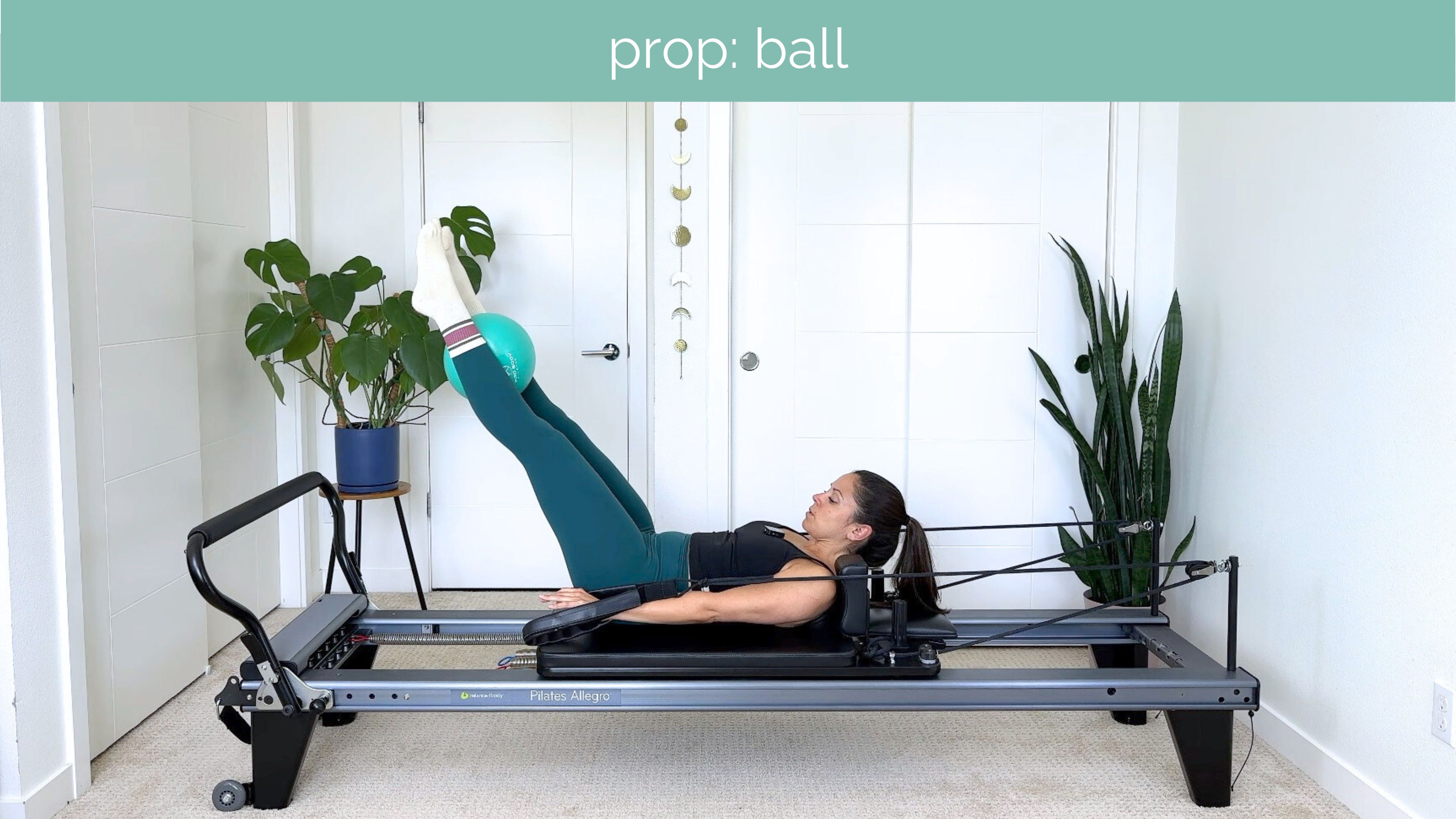 All Levels Reformer #49