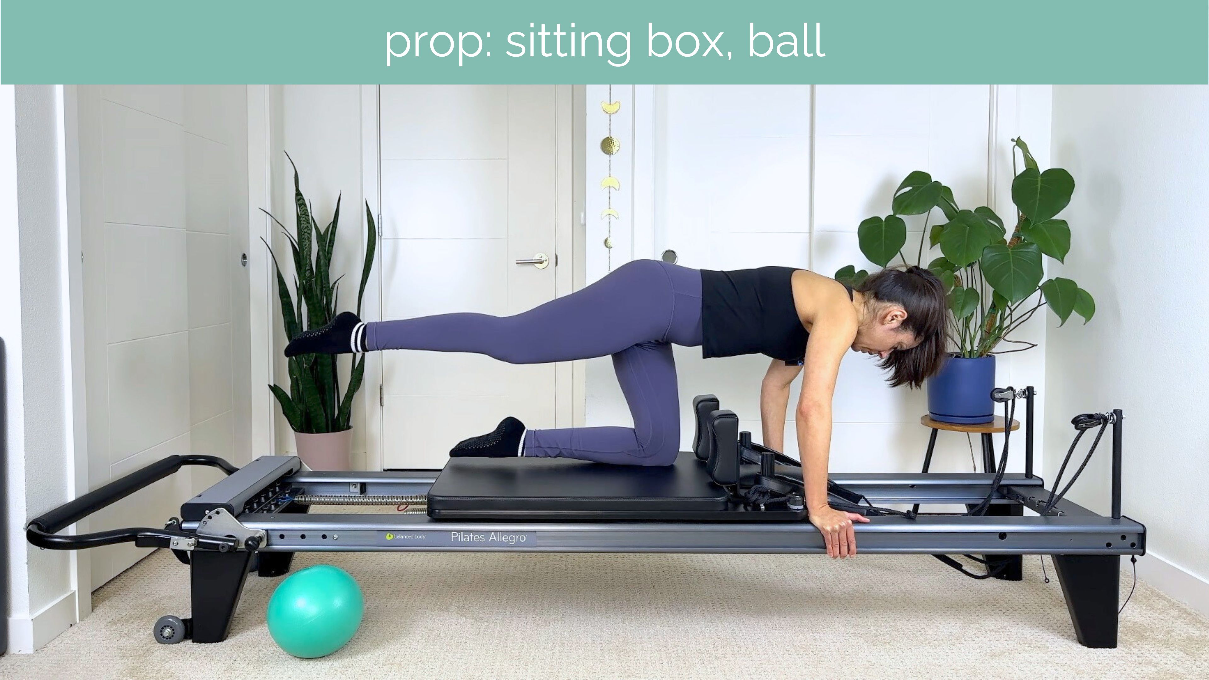 Intermediate Reformer #18