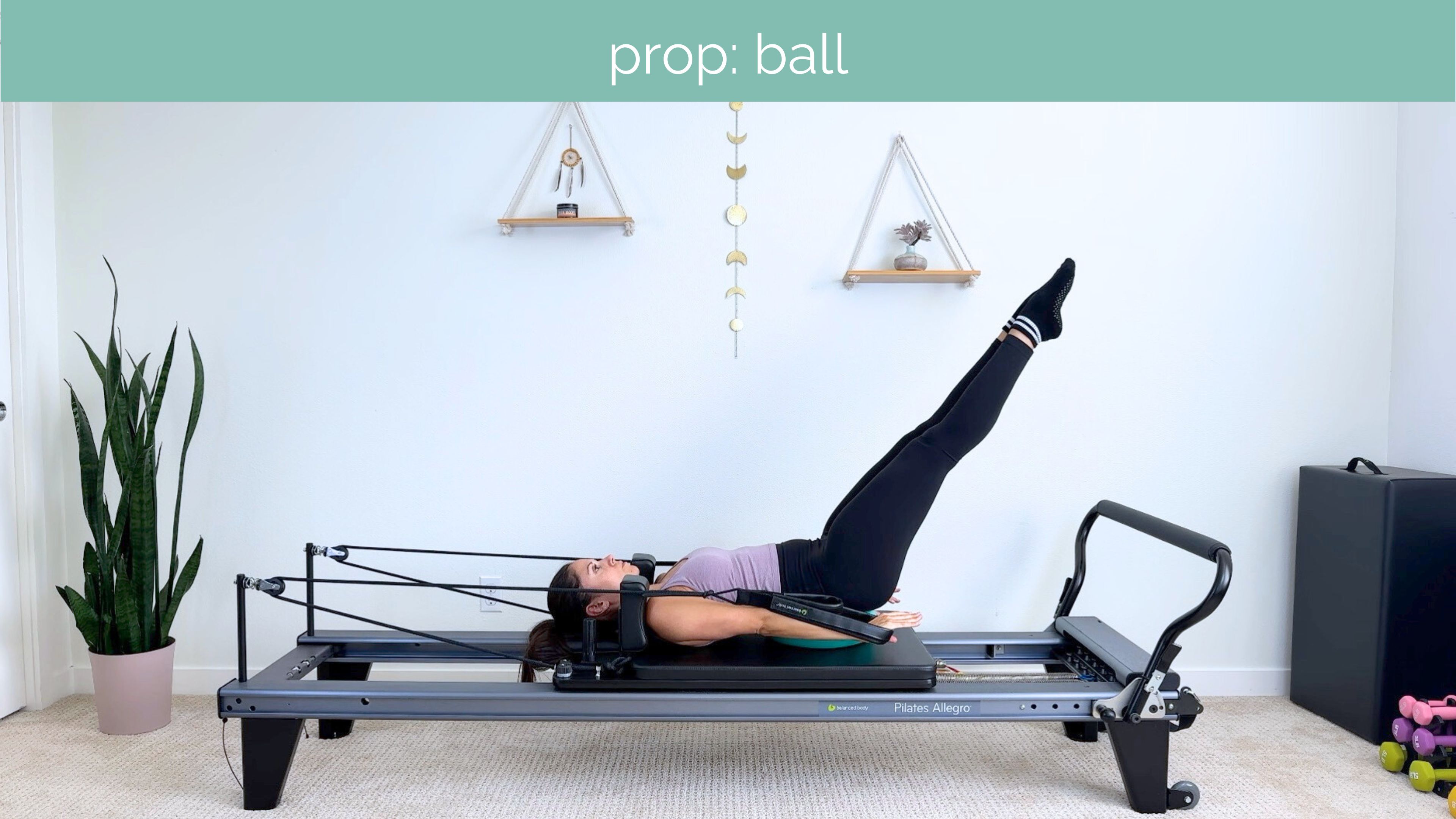 All Levels Reformer #09