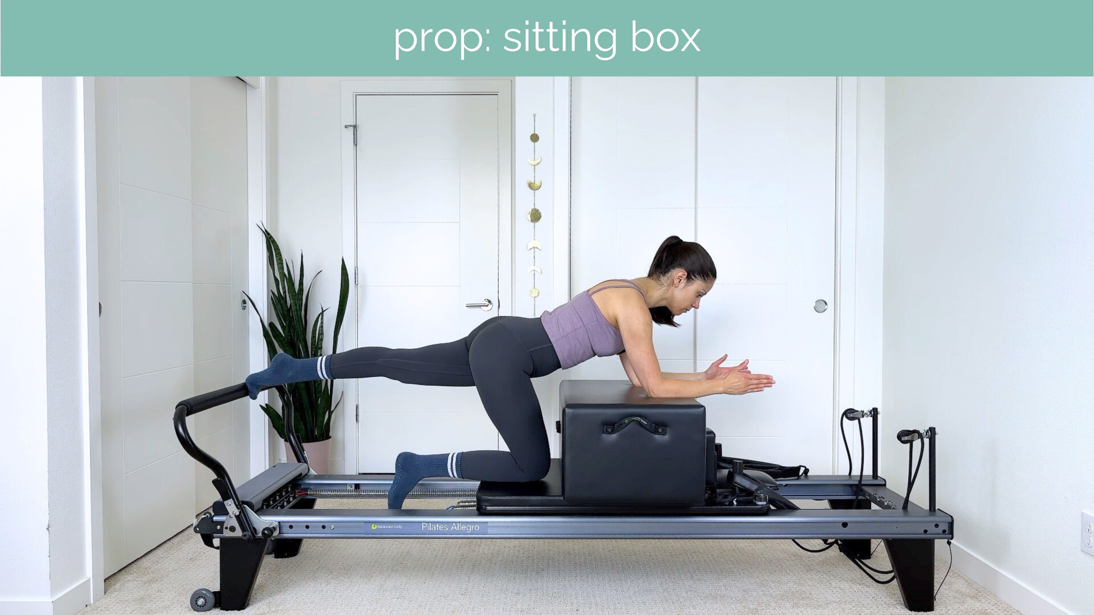 Beginner Reformer #45