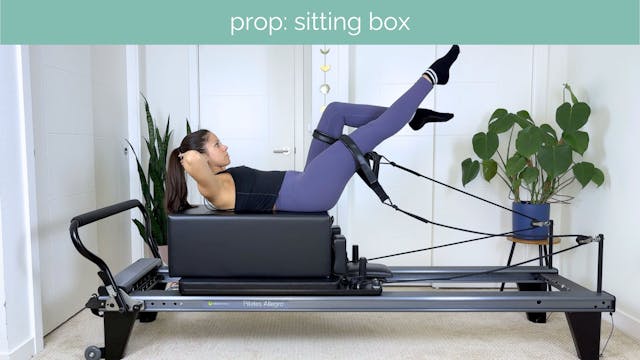 All Levels Reformer #29