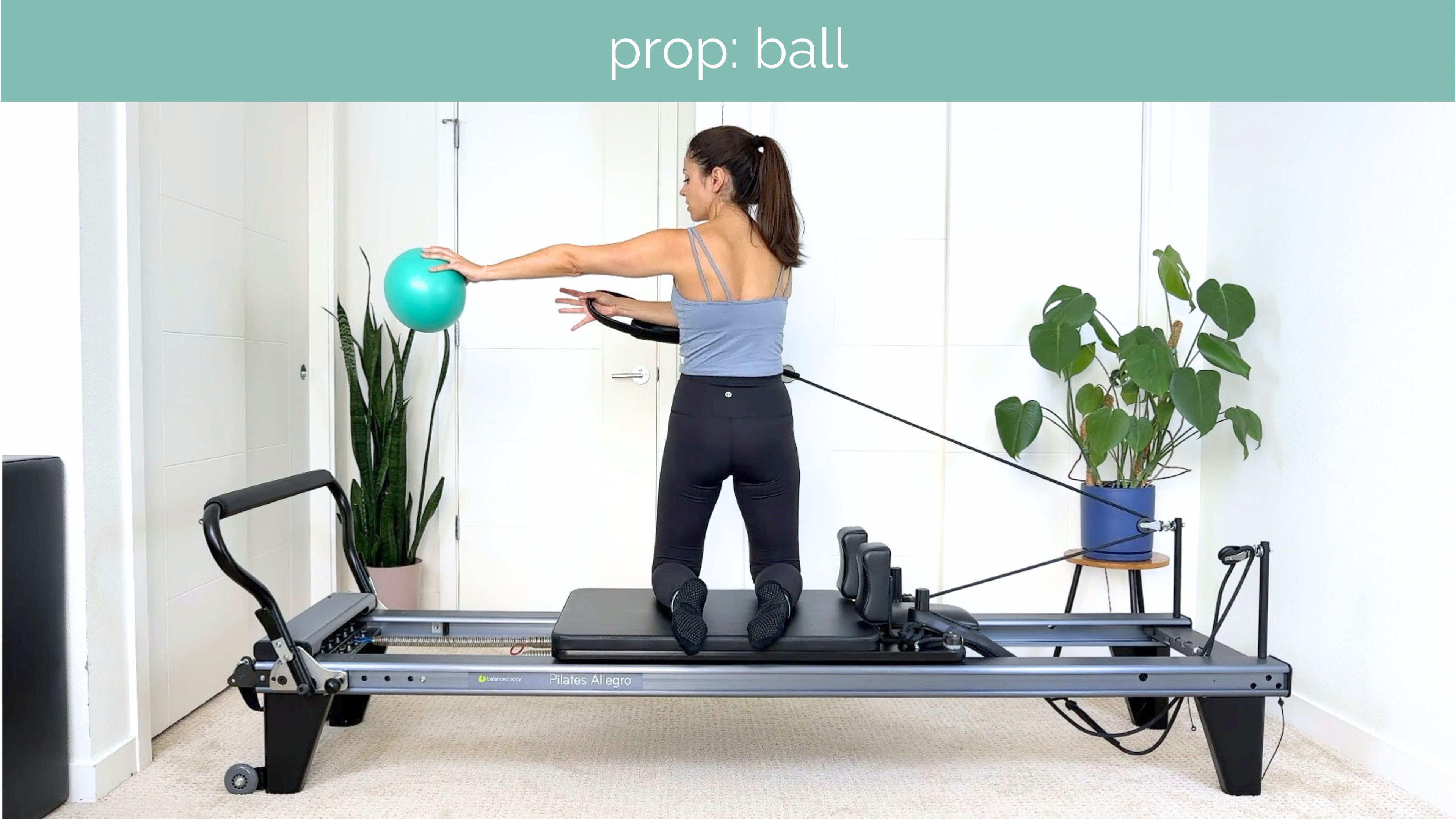 All Levels Reformer #11