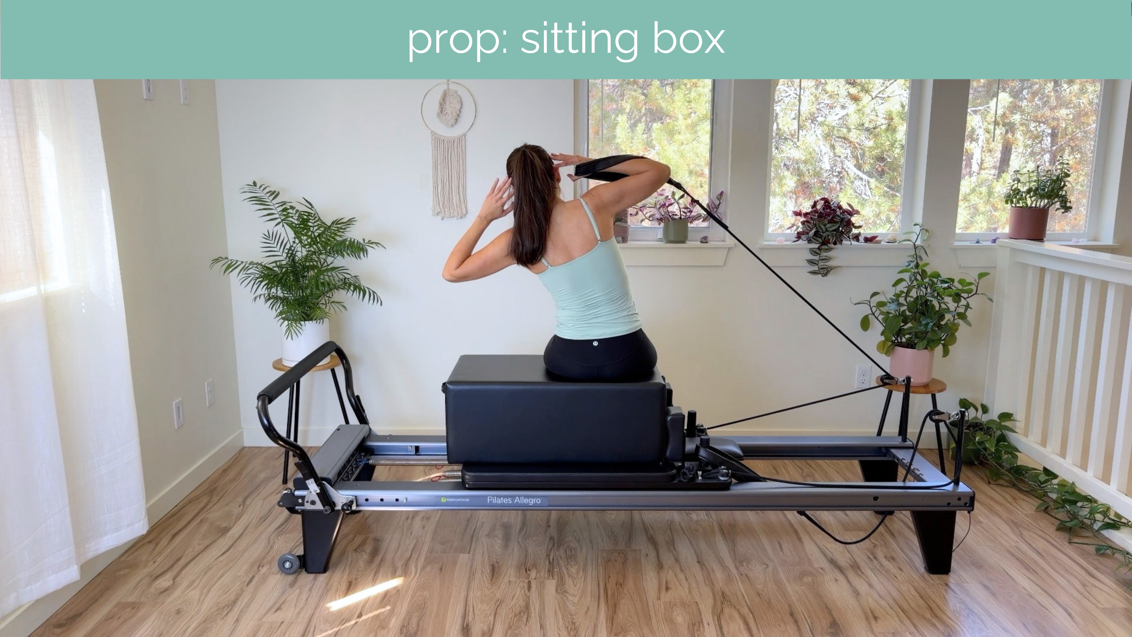 Beginner Reformer #80