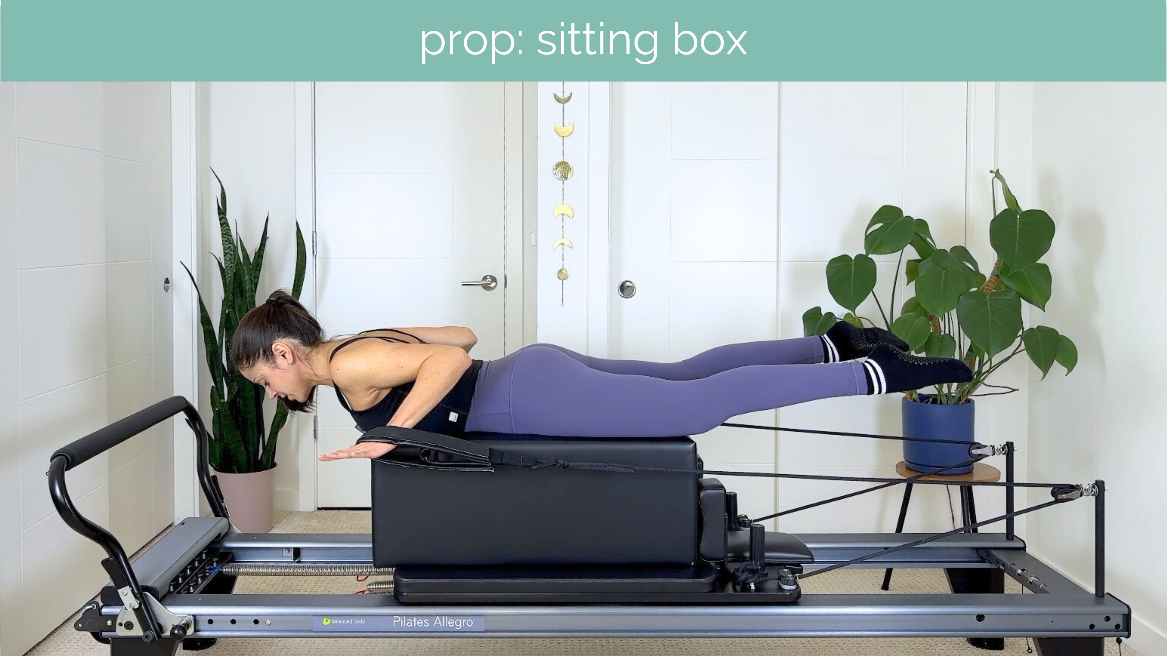 Intermediate Reformer #19