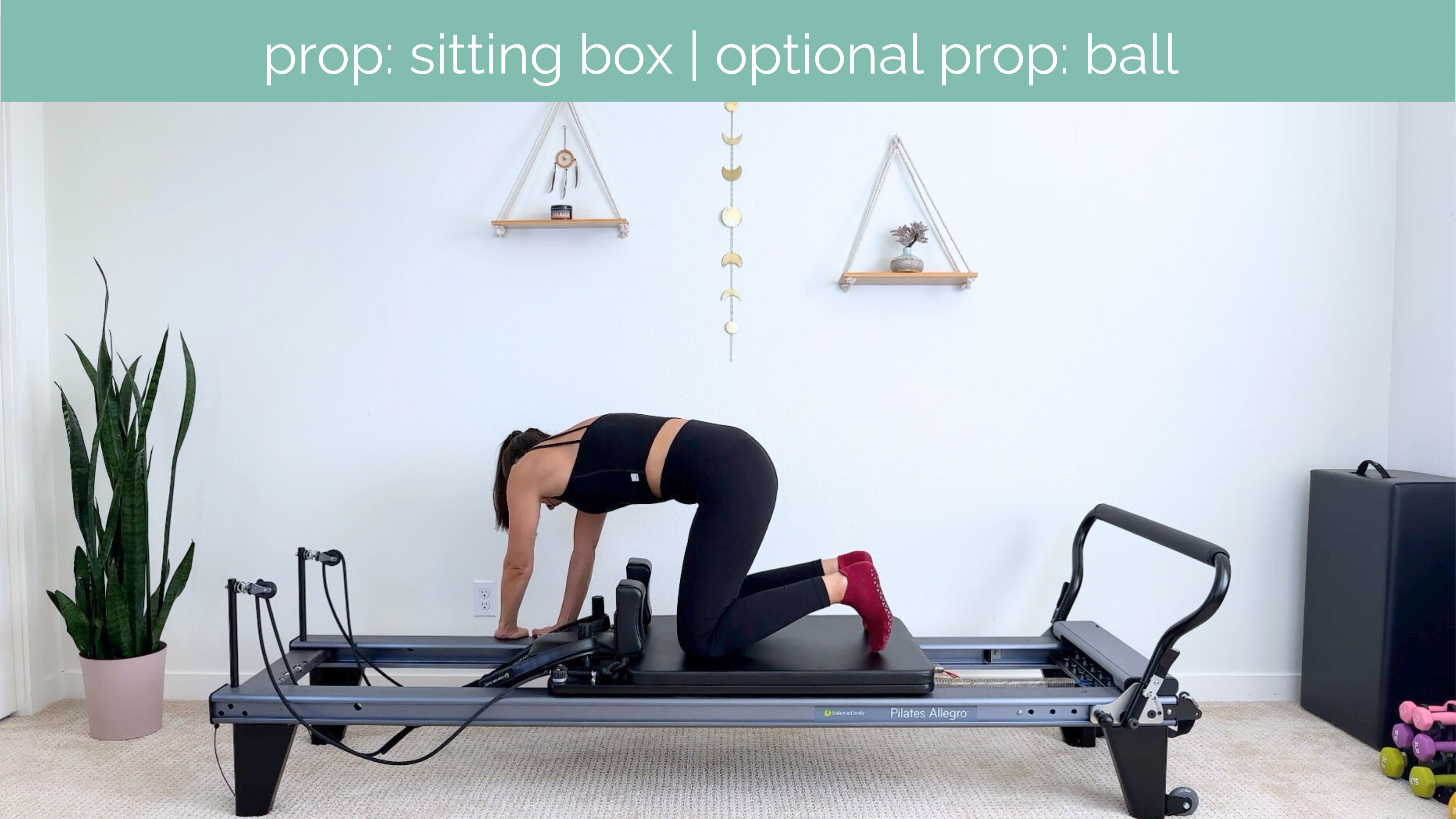 Intermediate Reformer #17