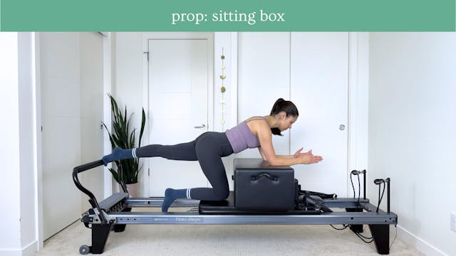 Beginner Reformer #45